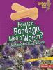 How_is_a_bandage_like_a_worm_