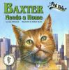 Baxter_needs_a_home