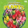 Spring_plants