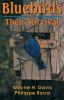 Bluebirds_and_their_survival