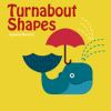 Turnabout_shapes