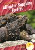 Alligator_snapping_turtles