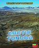 Arctic_tundra