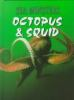Octopus___squid