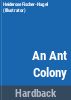 An_ant_colony