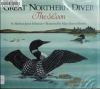 Great_northern_diver