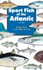 Sport_fish_of_the_Atlantic
