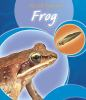 A_frog