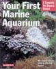 Your_first_marine_aquarium
