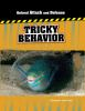 Tricky_behavior