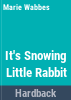 It_s_snowing__Little_Rabbit