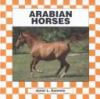 Arabian_horses