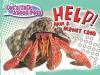 Help__I_have_a_hermit_crab
