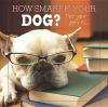 How_smart_is_your_dog_
