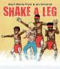 Shake_a_leg