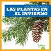 Las_plantas_en_el_invierno