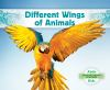 Different_wings_of_animals