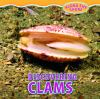 Discovering_clams
