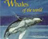 Whales_of_the_world