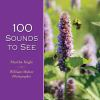 100_sounds_to_see