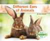 Different_ears_of_animals
