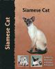 Siamese_cat