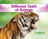 Different_teeth_of_animals