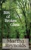 Bits_of_broken_glass