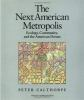 The_next_American_metropolis