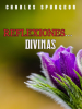 Reflexiones_Divinas