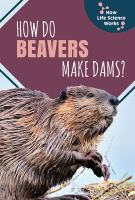 How_do_beavers_make_dams_