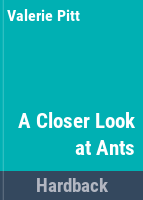 A_closer_look_at_ants