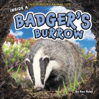 Inside_a_badger_s_burrow