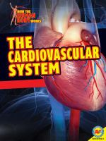 The_cardiovascular_system