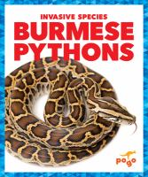 Burmese_pythons