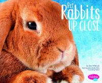 Pet_rabbits_up_close