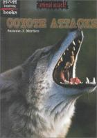 Coyote_attacks