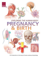 Pregnancy_and_Birth