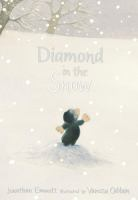 Diamond_in_the_snow