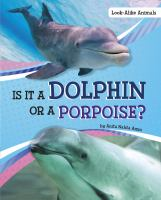 Is_it_a_dolphin_or_a_porpoise_