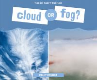 Cloud_or_fog_