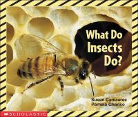 What_do_insects_do_