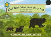 Black_bear_cub_at_Sweet_Berry_Trail