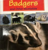 Badgers_and_other_mustelids