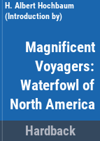 Magnificent_voyagers
