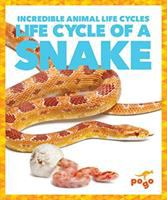 Life_cycle_of_a_snake