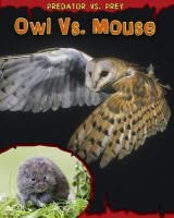Owl_vs__mouse