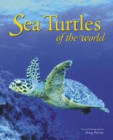 Sea_turtles_of_the_world