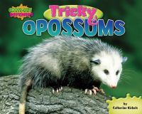 Tricky_opossums
