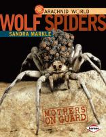 Wolf_spiders